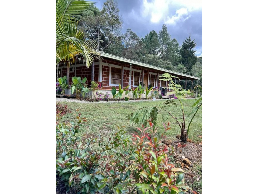 VENTA DE FINCA EN GUARNE SECTOR ALTO DE LA VIRGEN — foto 2