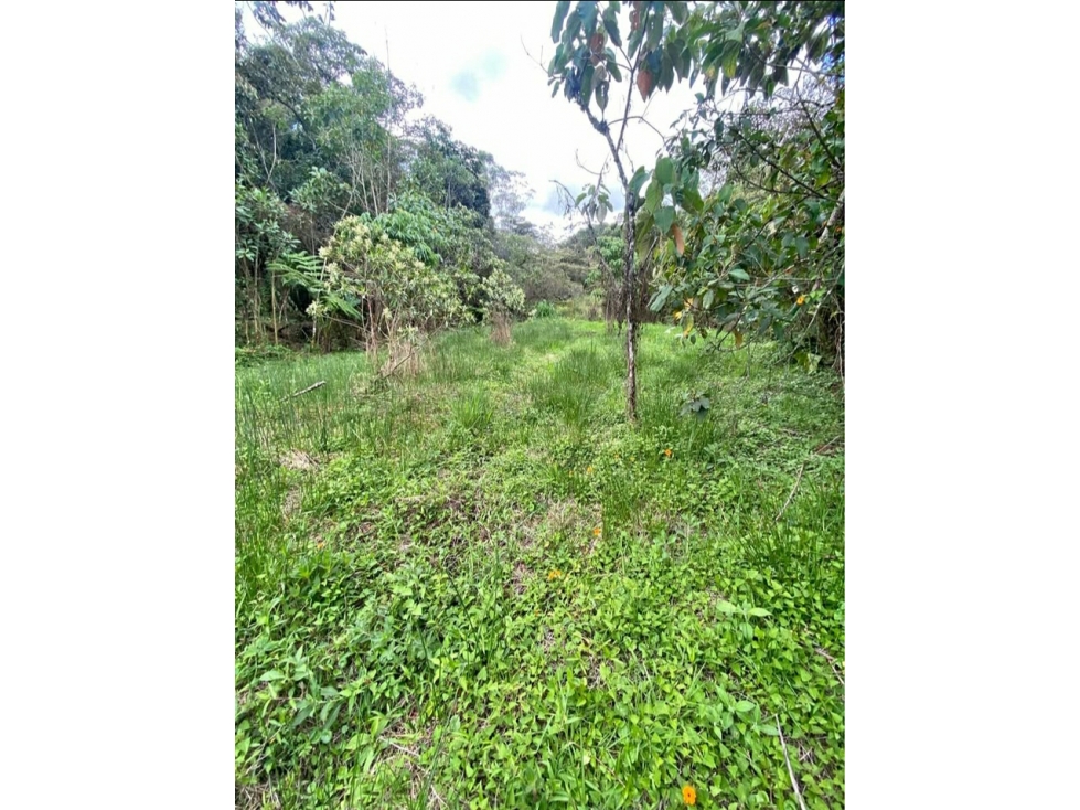 LOTE EN VENTA EN GUARNE - VEREDA SANGO — foto 3