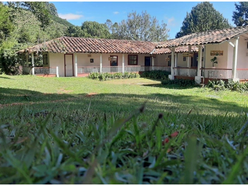 FINCA EN VENTA EN FREDONIA - VEREDA COMBIA - 2