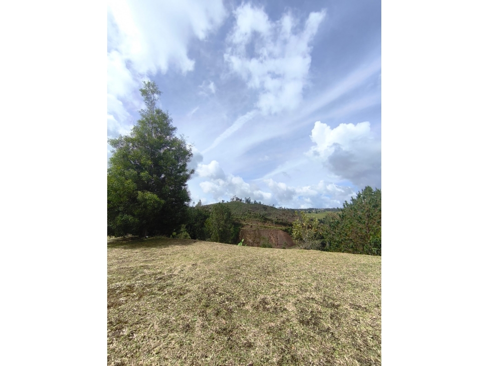VENTA DE LOTE 10.000 M2 PARCELACION CASCO URBANO EL RETIRO — foto 3