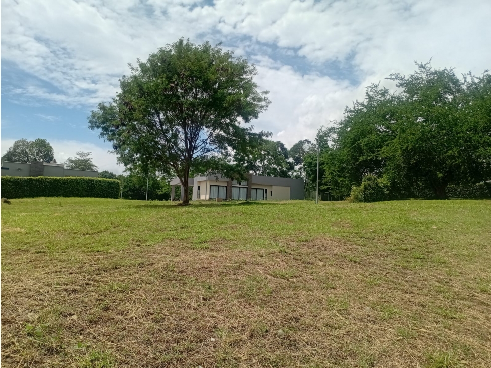 VENTA LOTE EL TOTUMO IBAGUE — foto 2