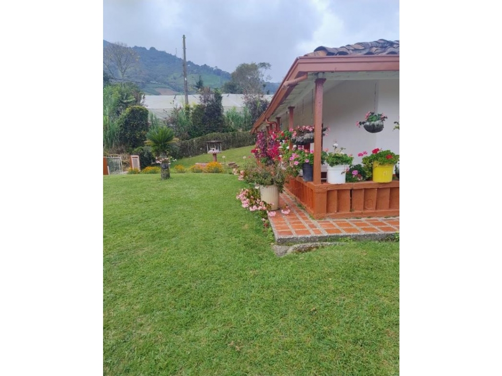 VENTA DE FINCA EN SAN ANTONIO DE PRADO VEREDA POTRERITO — foto 3