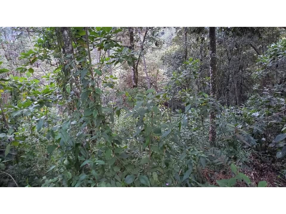 VENTA DE LOTE EN PARCELACION LA ESTRELLA SECTOR LA TABLAZA - 3