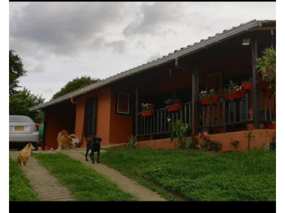 VENTA O CAMBIO DE CASA CAMPESTRE EN SAN ANTONIO DE PRADO — foto 2