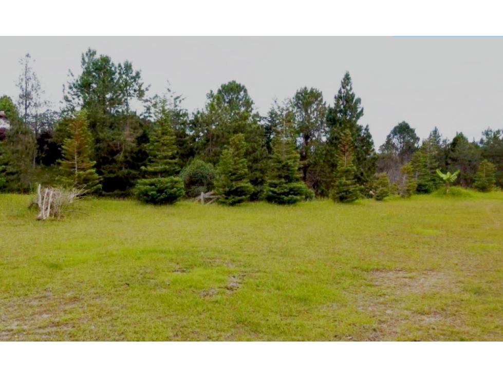 EN VENTA LOTE EN PARCELACIÓN LEJOS DEL NIDO — foto 2