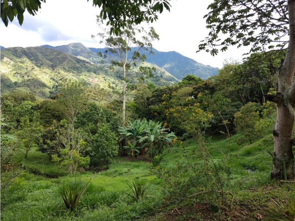 FINCA PARCELABLE BARBOSA ANTIOQUIA - 2