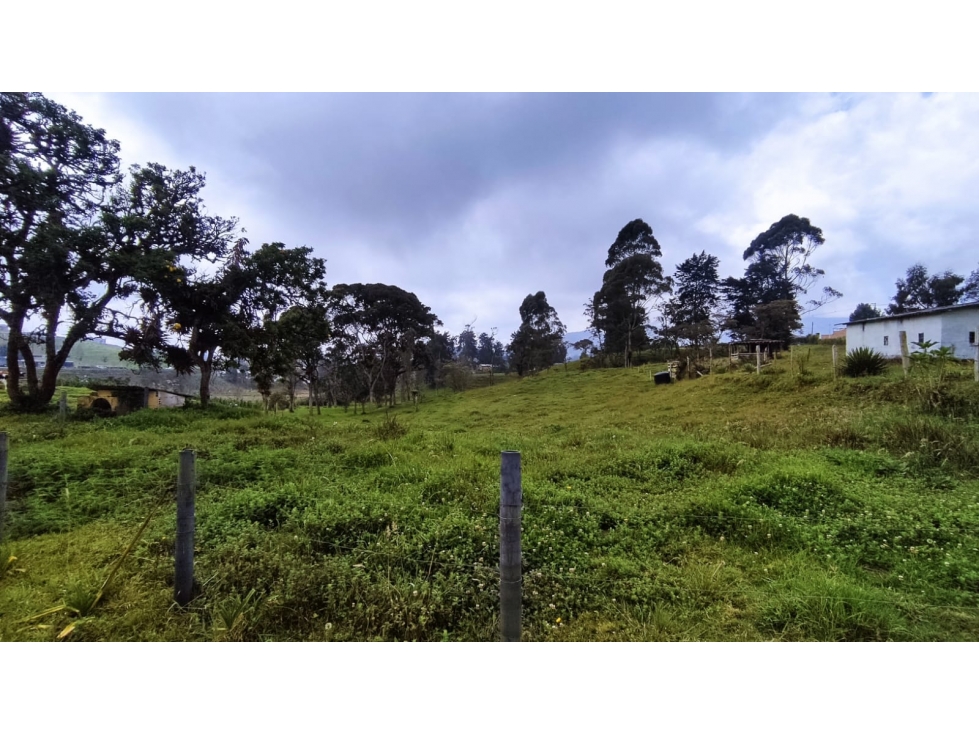VENTA DE LOTE EN SAN FELIX - 3