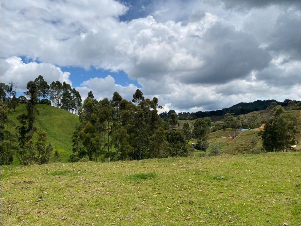 VENTA EL MEJOR LOTE EN VENTA EN PANTANILLO, EL RETIRO — foto 4
