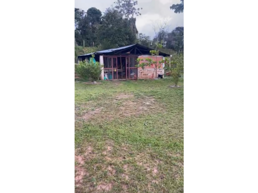 Venta de finca en San Roque - 3