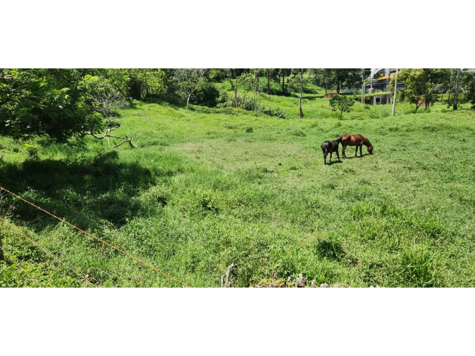 Venta de lote en sector industrial en Amagá - 3