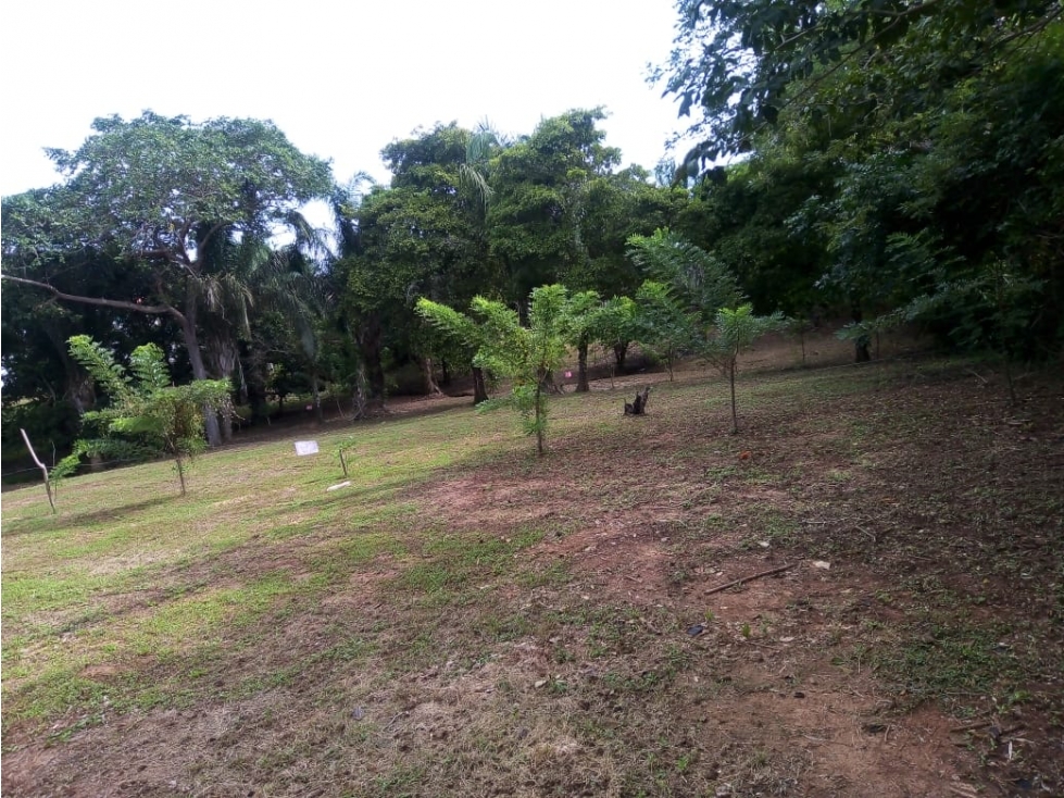Venta de Lotes en Coveñas a 4 Cuadras del Mar por Excelente Precio - 3