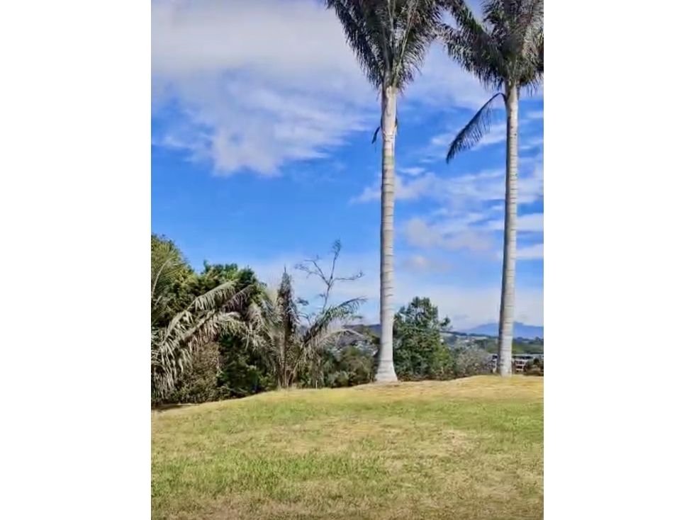 LOTE PLANO EN EL ALTO DE PALMAS ANTES DEL PEAJE — foto 3