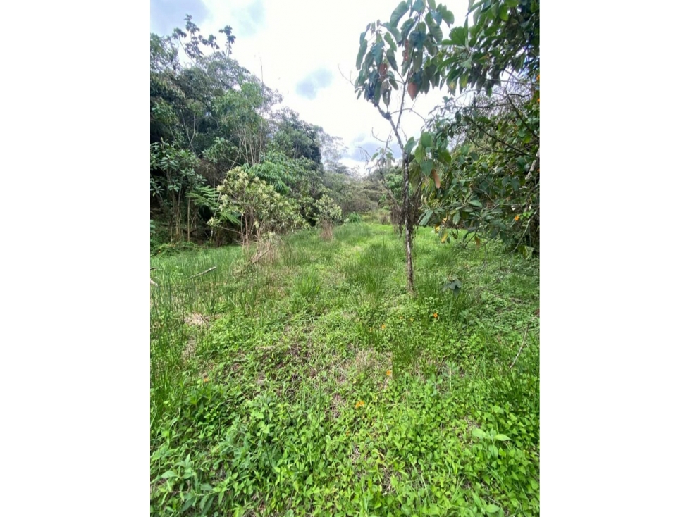 LOTE EN VENTA EN GUARNE - VEREDA SANGO — foto 4