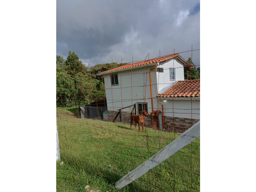 VENTA DE FINCA EN SANTA ELENA SECTOR VEREDA PIEDRAS GORDAS — foto 6