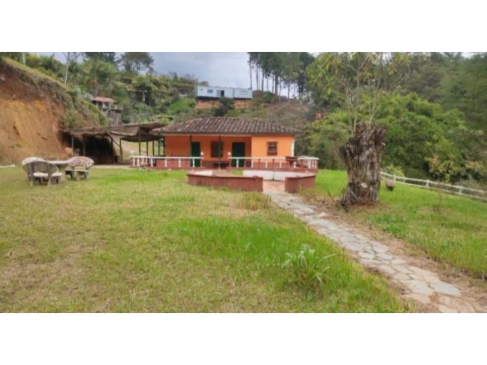 EN VENTA FINCA EN RIONEGRO — foto 3