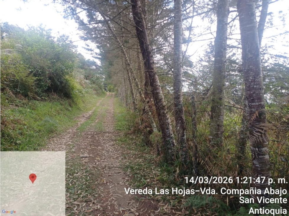Lote en venta en San Vicente Ferrer (VEREDA LAS HOJAS) — foto 5