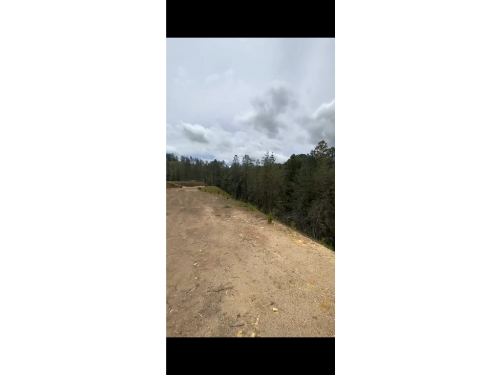 VENTA DE LOTE CON BOSQUE EN PARCELACION SECTOR PANTANILLO
