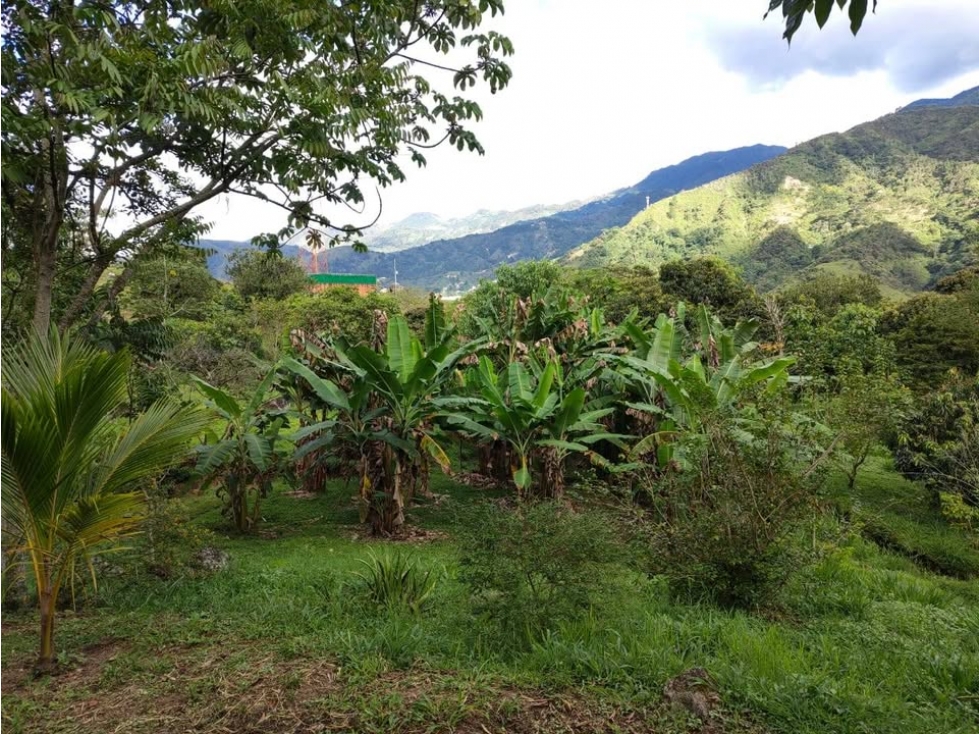 FINCA PARCELABLE BARBOSA ANTIOQUIA - 3