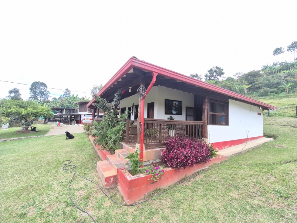 SE VENDE FINCA PRODUCTIVA EN JERICÓ ANTIOQUIA 26.603 mts - 4
