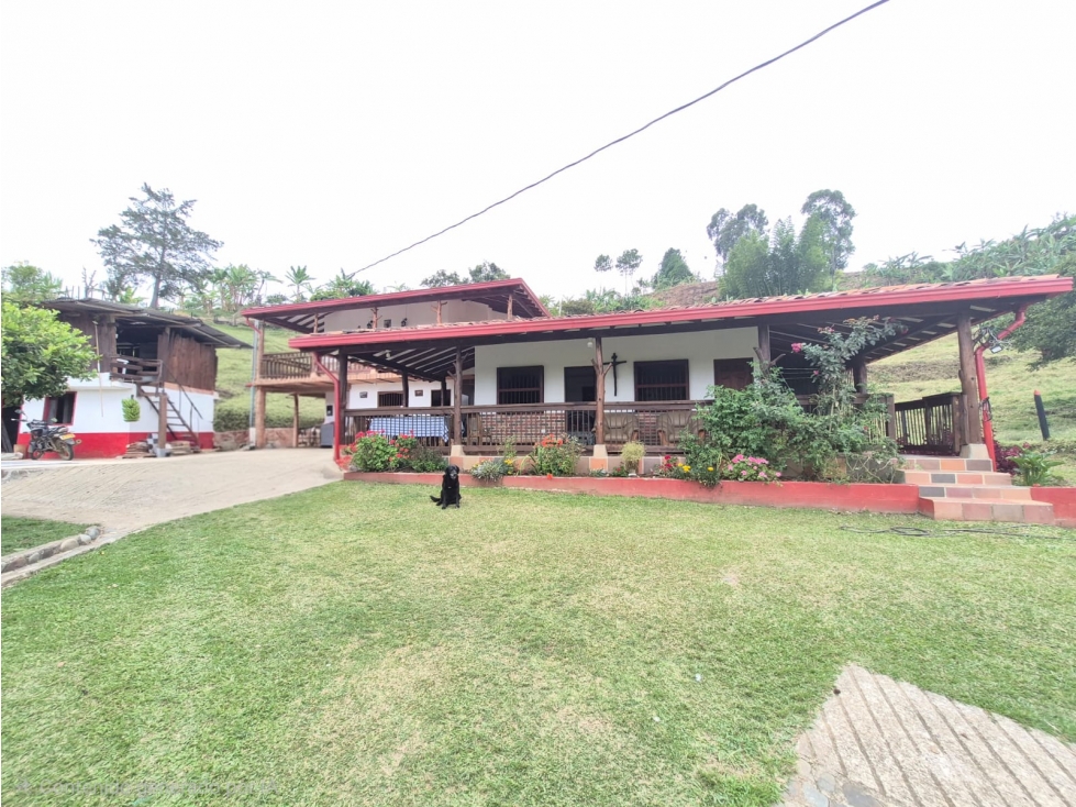 SE VENDE FINCA PRODUCTIVA EN JERICÓ ANTIOQUIA 26.603 mts - 1