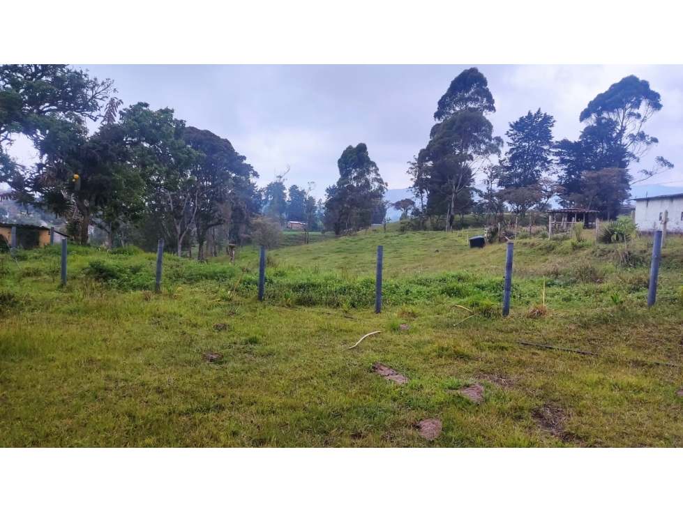 VENTA DE LOTE EN SAN FELIX - 4