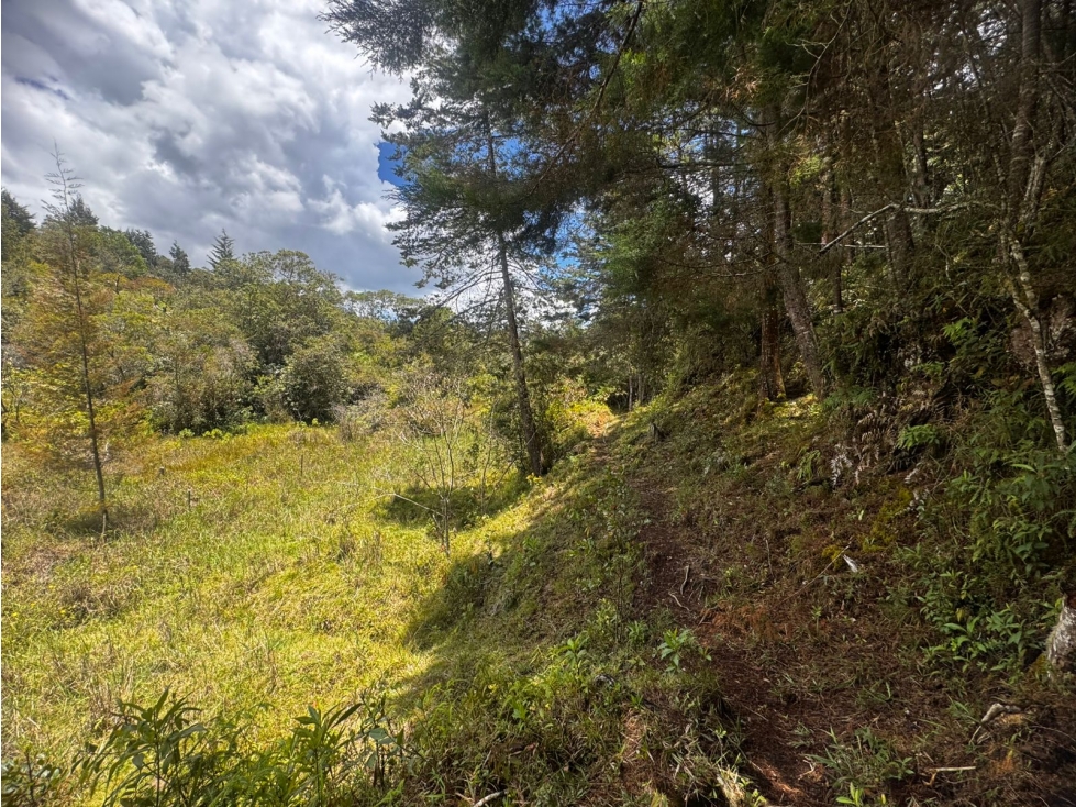 Lote en Venta Vereda Mampuesto / Sector Lomalinda Rionegro — foto 4
