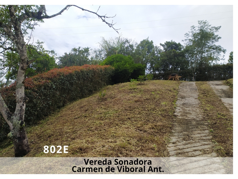 ¡Oportunidad Ãnica! Lote en El Carmen de Viboral con Dos Banqueos — foto 3