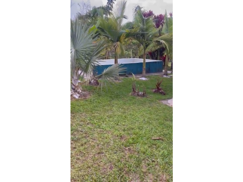 Venta de finca en San Roque - 4