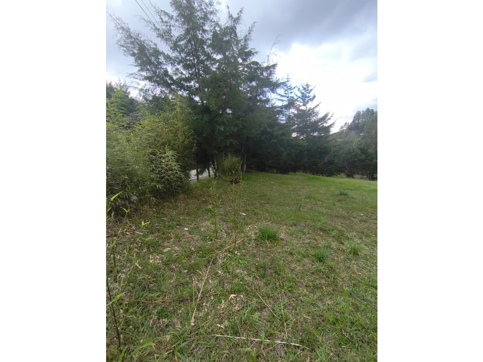 VENTA LOTE COMERCIAL MUY BIEN UBICADO EN EL RETIRO HACIA LA CEJA — foto 4