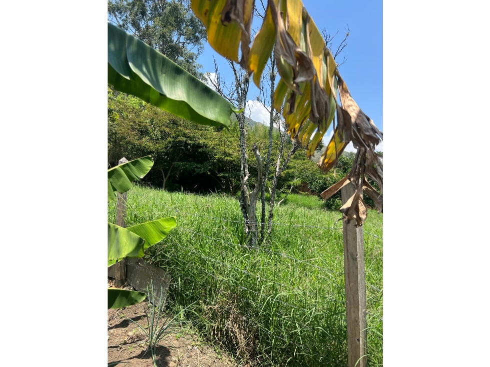 VENTA DE LOTE EN BELLO VEREDA GUASIMALITO NORTE AMÉRICA — foto 4