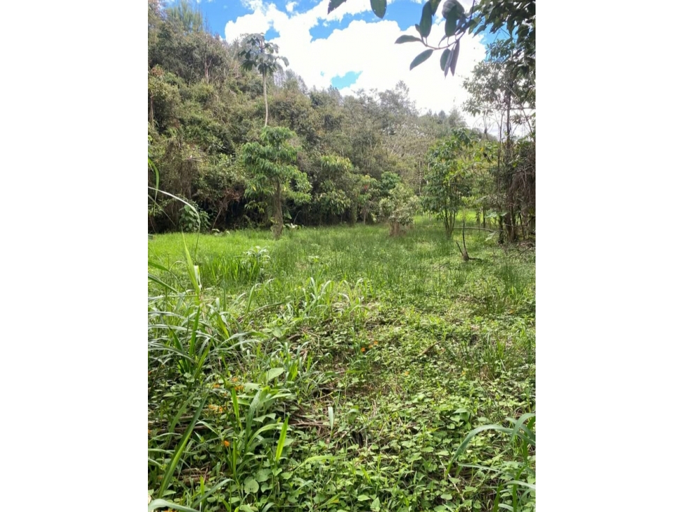 LOTE EN VENTA EN GUARNE - VEREDA SANGO — foto 5