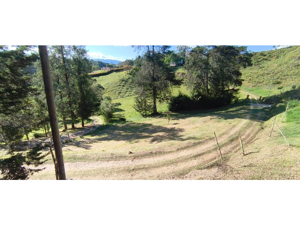 VENTA ó PERMUTA LOTE INDEPENDIENTE 7.000 M2 PANTANILLO (con colega) — foto 4