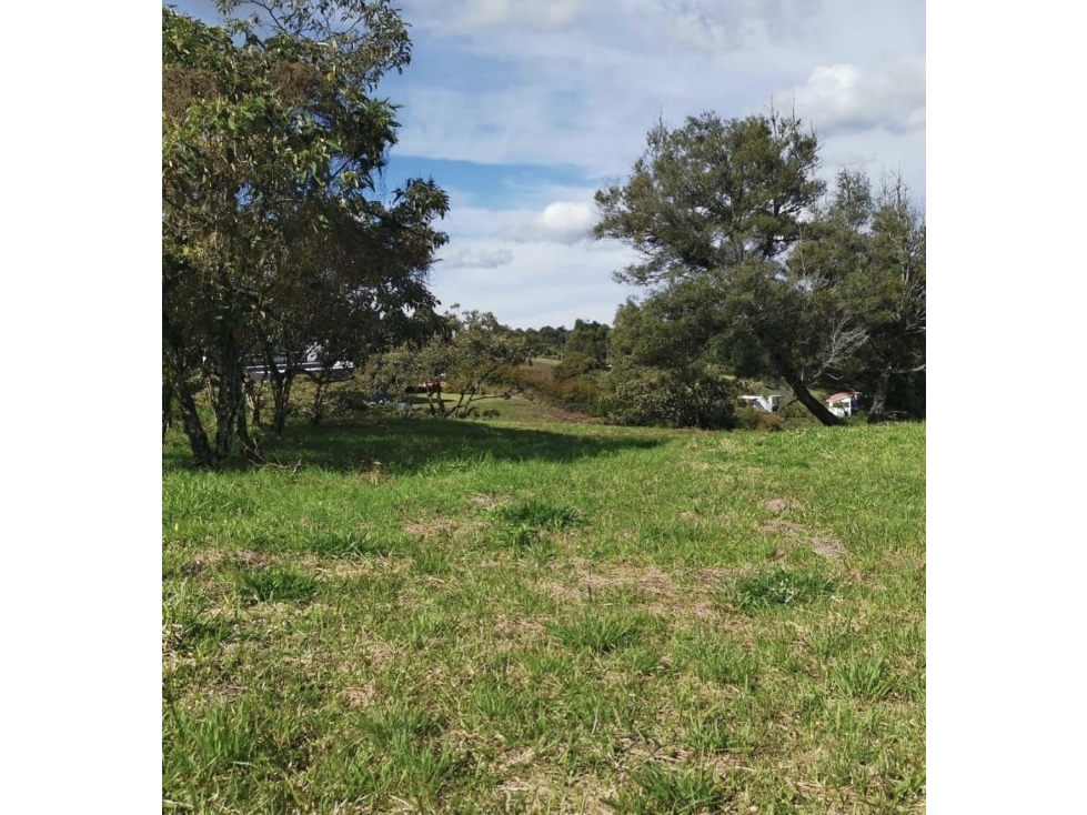 VENTA DE LOTE 3.660 M2 EN PARCELACIÓN EN SAJONIA RIONEGRO - 4