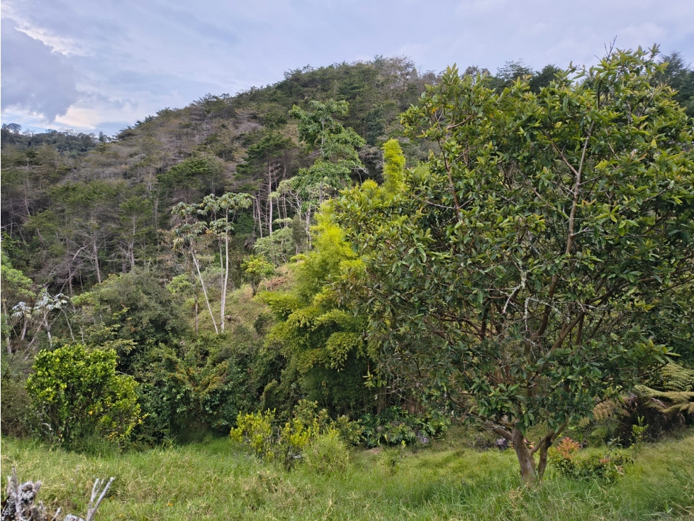 VENTA FINCA DE 27.500 M2 EN PARCELACIÓN PUENTE PELAEZ EL RETIRO - 6