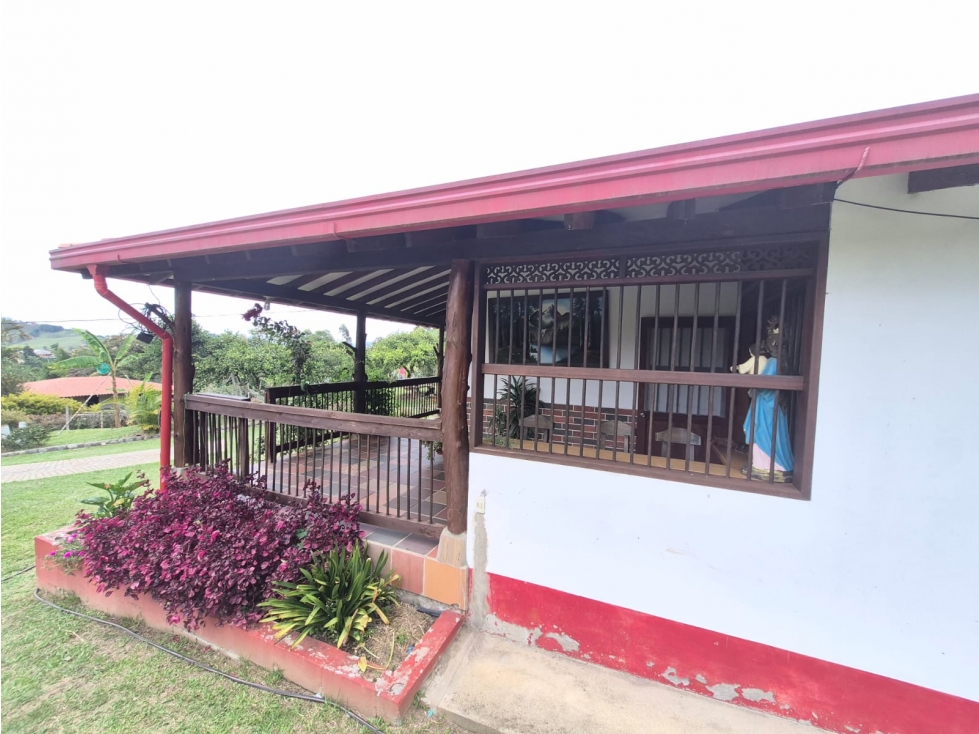 SE VENDE FINCA PRODUCTIVA EN JERICÓ ANTIOQUIA 26.603 mts - 6