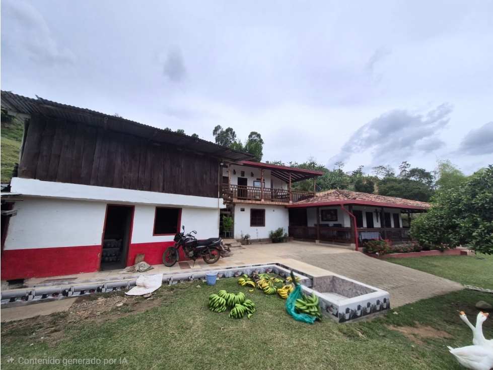 SE VENDE FINCA PRODUCTIVA EN JERICÓ ANTIOQUIA 26.603 mts - 5