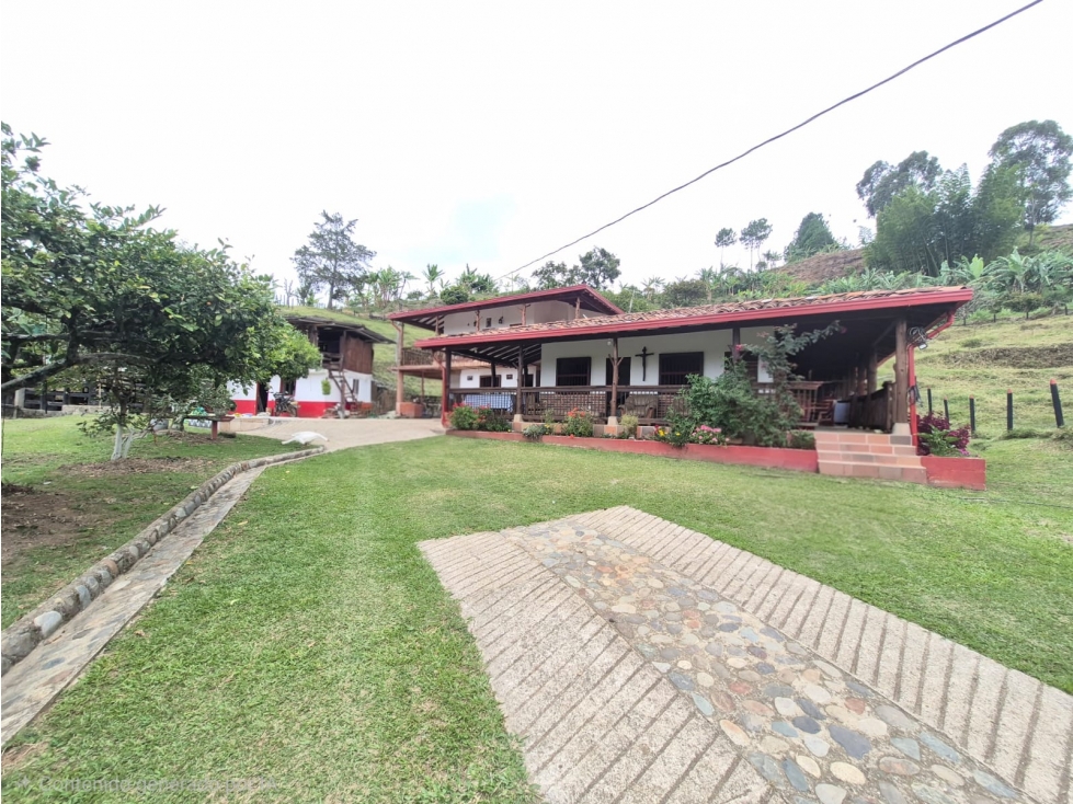SE VENDE FINCA PRODUCTIVA EN JERICÓ ANTIOQUIA 26.603 mts - 2