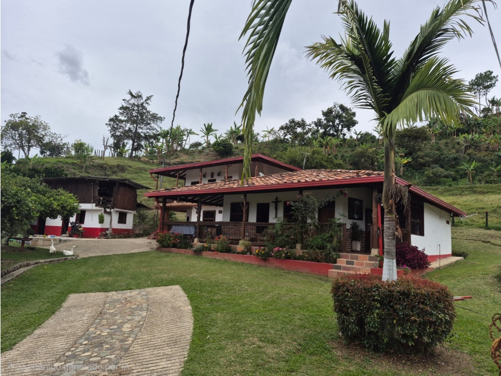 SE VENDE FINCA PRODUCTIVA EN JERICÓ ANTIOQUIA 26.603 mts - 3