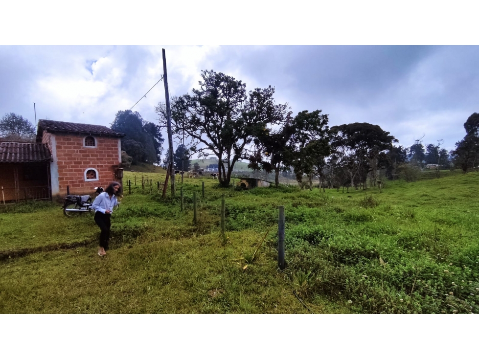 VENTA DE LOTE EN SAN FELIX - 5
