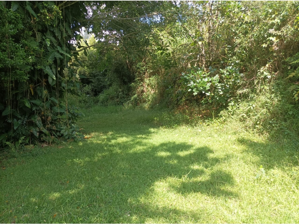 VENTA DE LOTE EN EL PEÑOL VEREDA LA CRISTALINA - 5