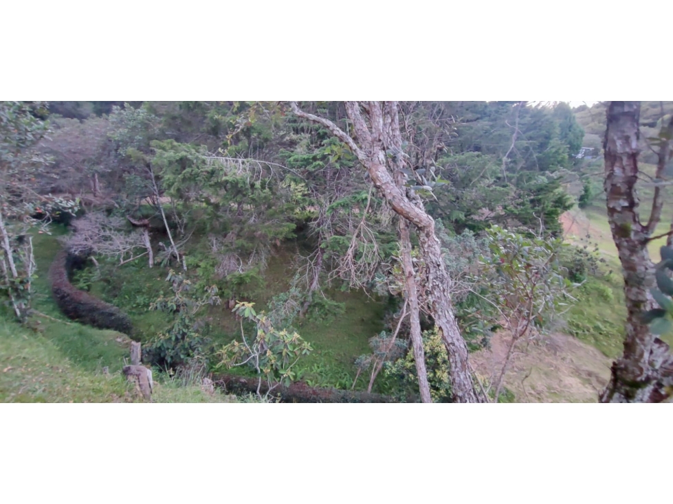 Venta de Lote en Guarne-Antioquia — foto 5