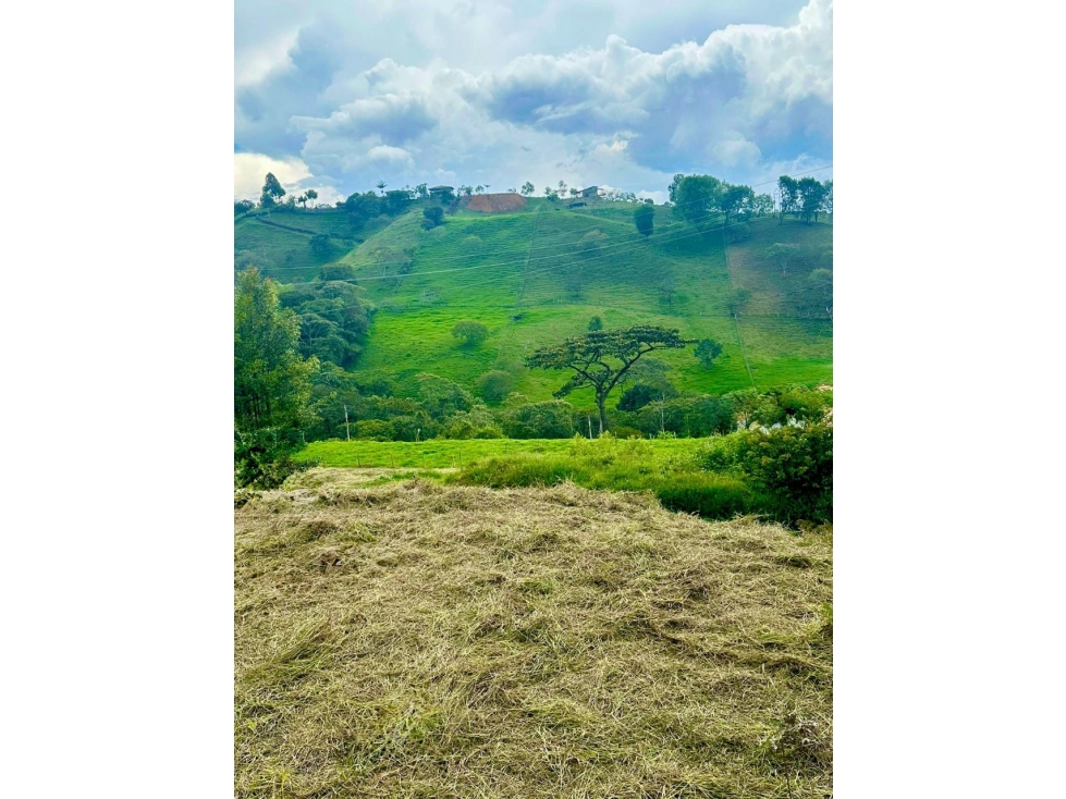 VENTA LOTE EN UNIDAD CERRADA EN JERICO, VEREDA LA PISTA - 5