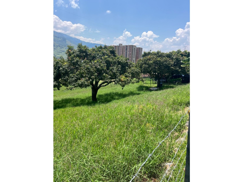 VENTA DE LOTE EN BELLO VEREDA GUASIMALITO NORTE AMÉRICA — foto 5