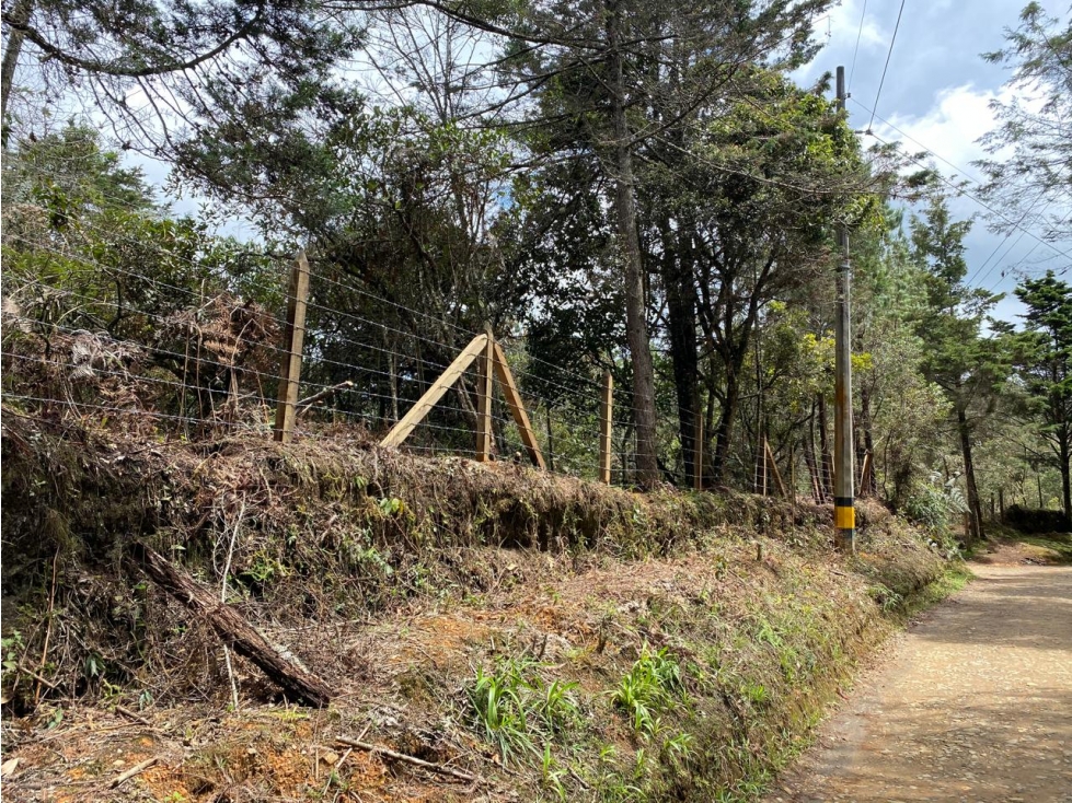 VENTA DE LOTE EN GUARNE SECTOR VEREDA PIEDRAS BLANCAS — foto 2