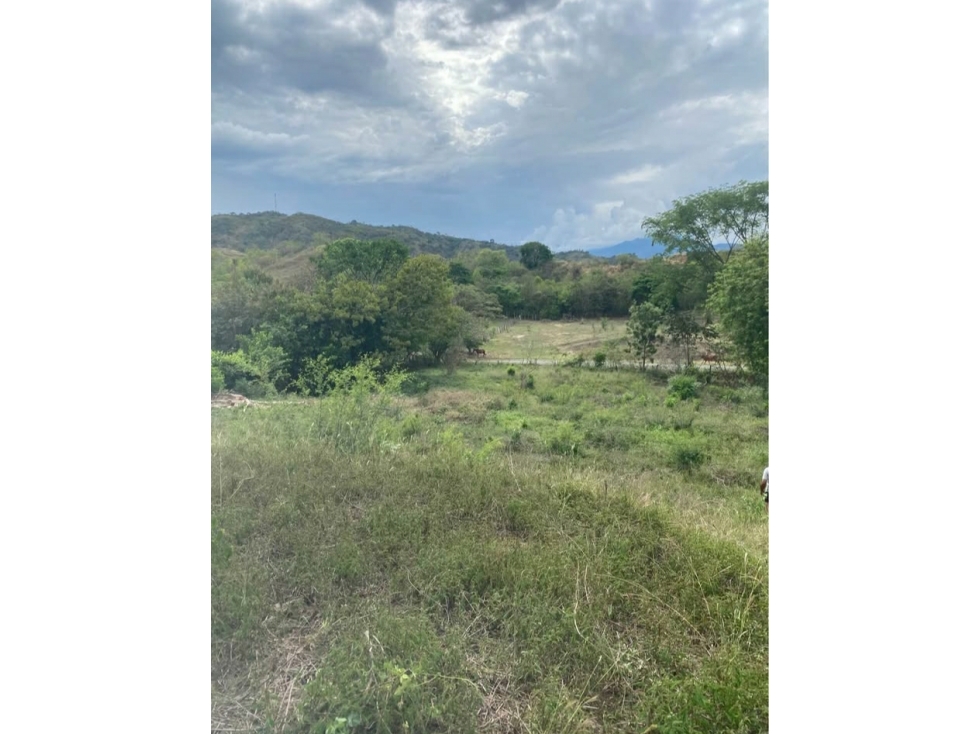 LOTE PARCELADO DE 5.500m2 EN VENTA EN SANTA FE DE ANTIOQUIA — foto 5