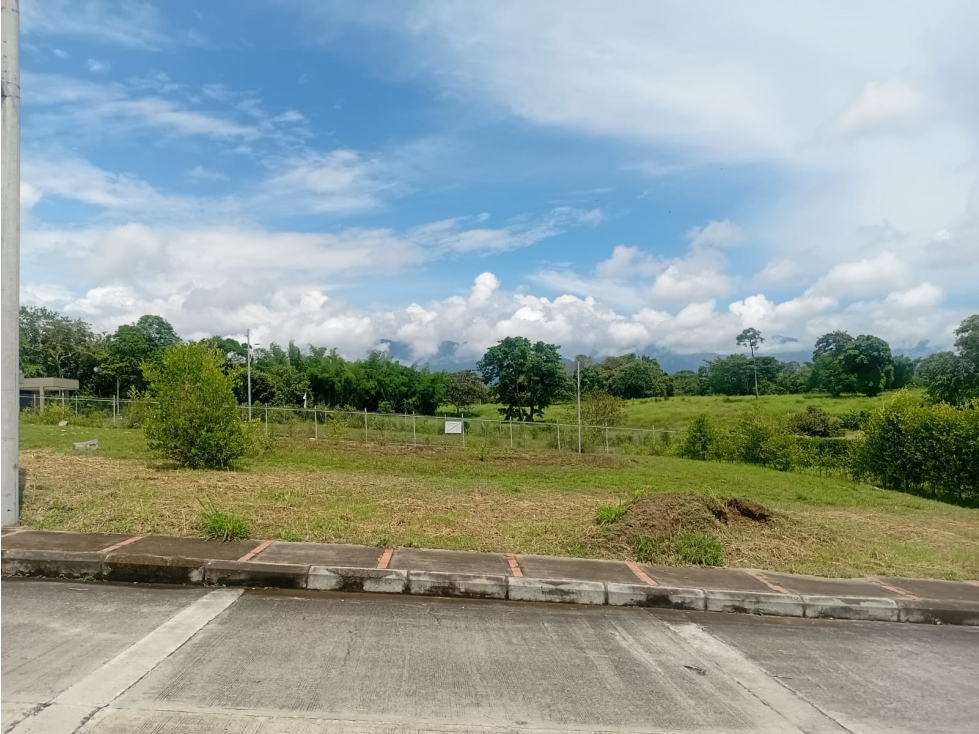 VENTA LOTE EL TOTUMO IBAGUE — foto 5