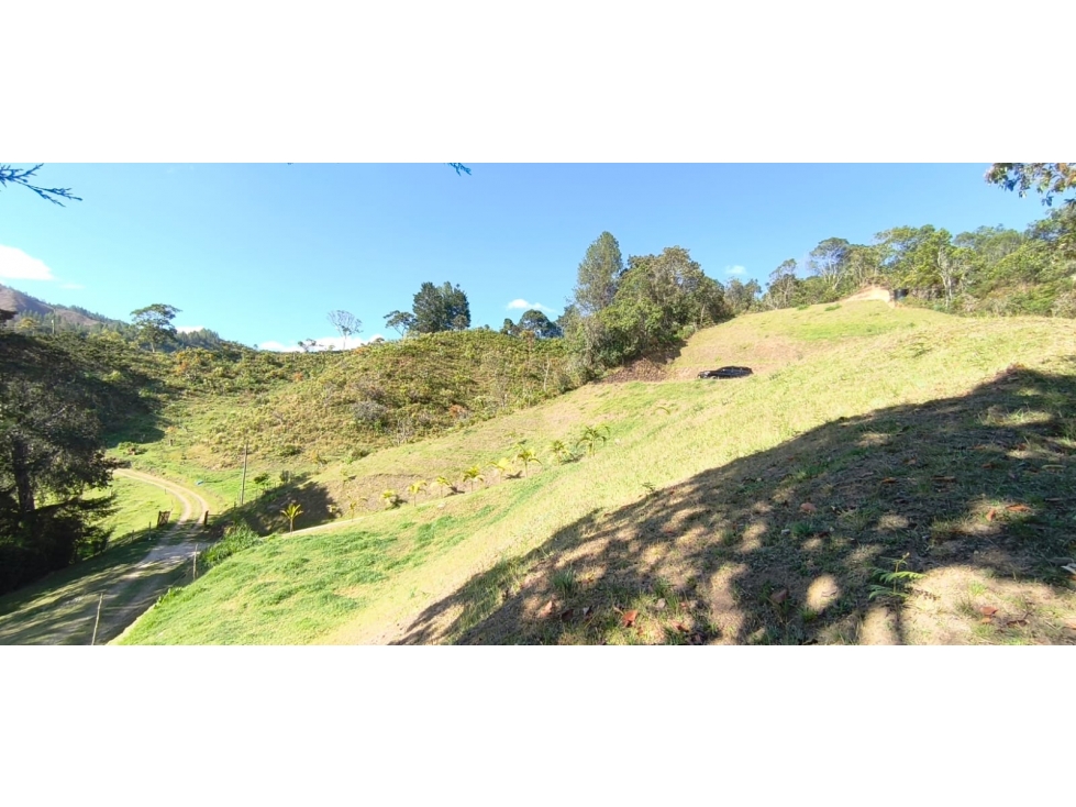 VENTA ó PERMUTA LOTE INDEPENDIENTE 7.000 M2 PANTANILLO (con colega) — foto 5
