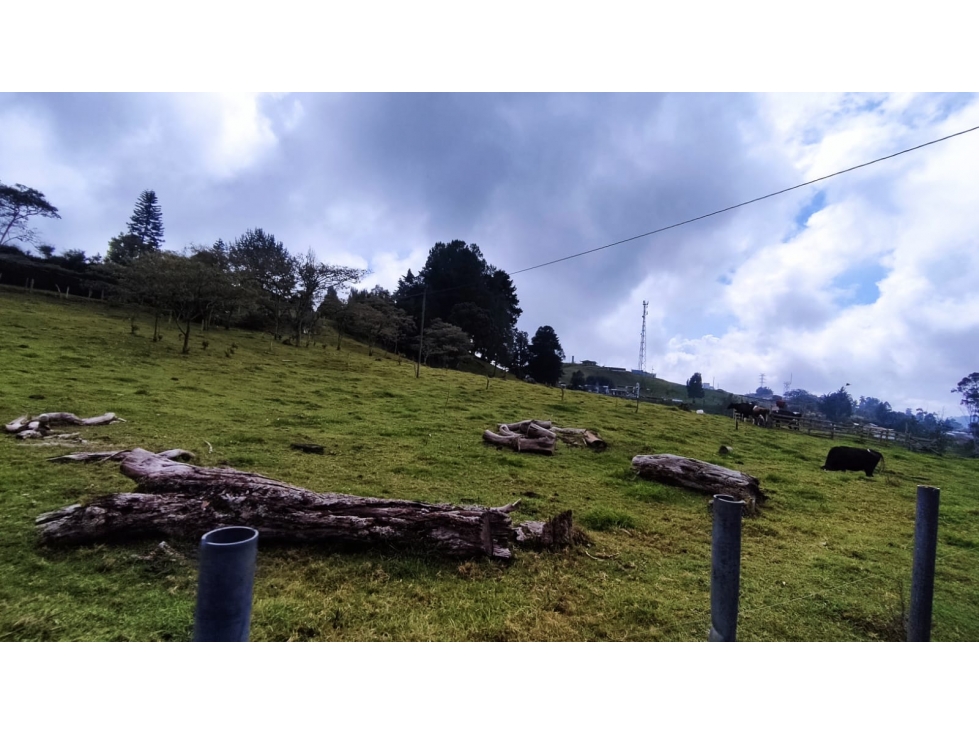 VENTA DE LOTE EN SAN FELIX - 6