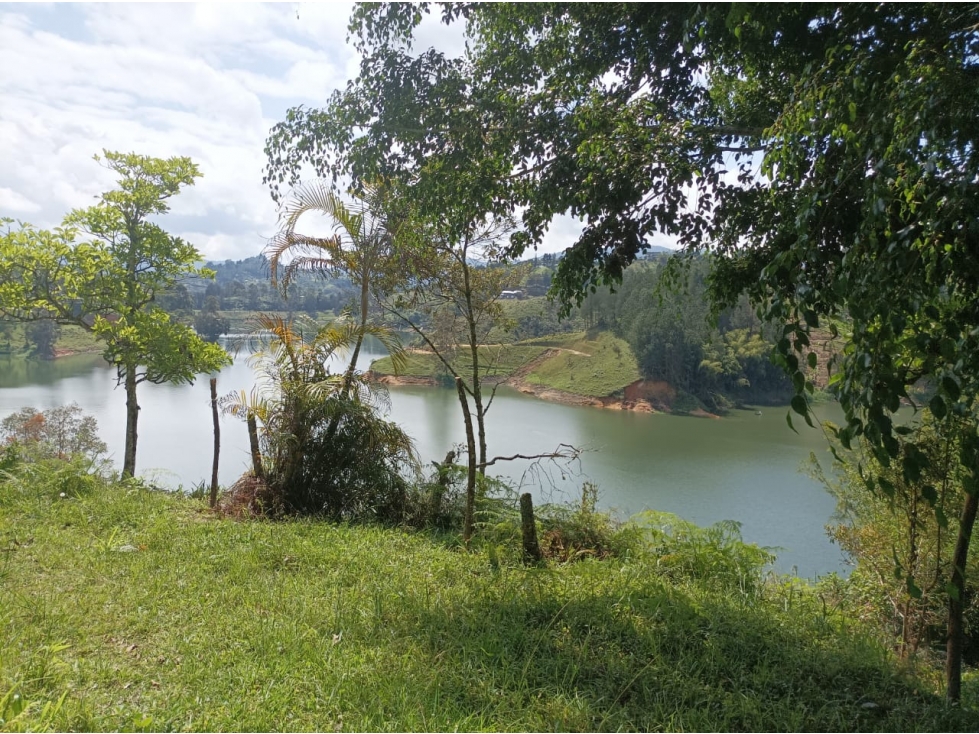 VENTA DE LOTE EN EL PEÑOL VEREDA LA CRISTALINA - 6