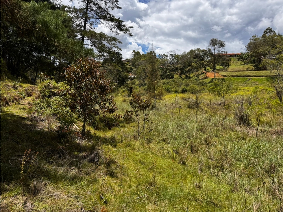 Lote en Venta Vereda Mampuesto / Sector Lomalinda Rionegro — foto 5